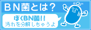 BN菌とは?
