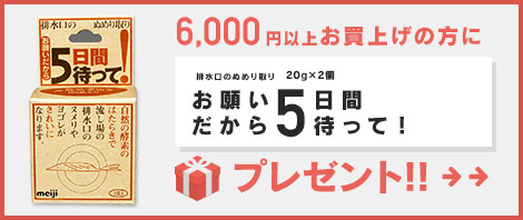 6,000円以上お買上げの方に”お願いだから5日間待って”プレゼント！